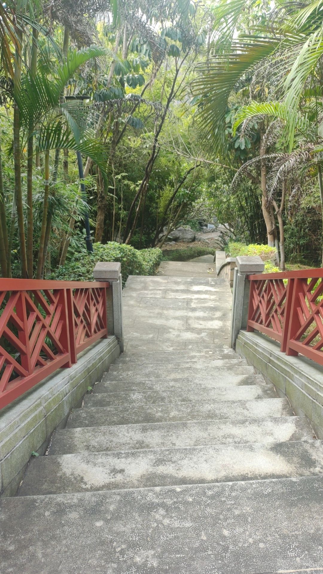 凯景社区体育公园旅行图片 2