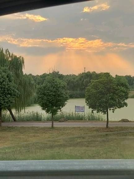 梅花山公园旅行图片 2