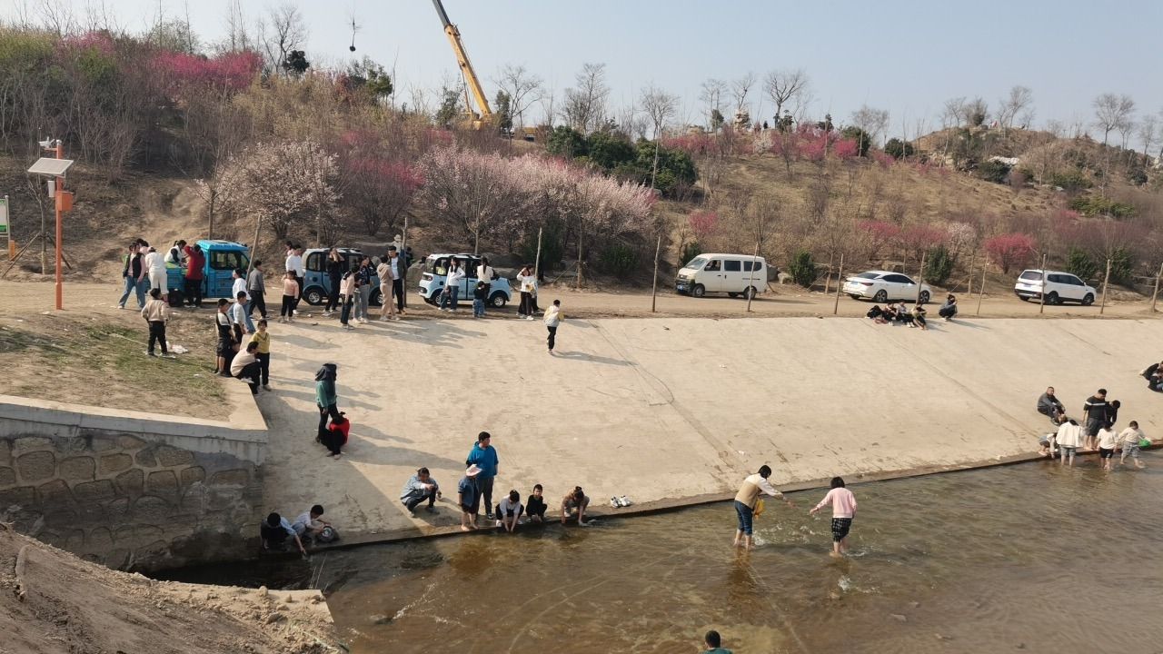 梅花山公园旅行图片