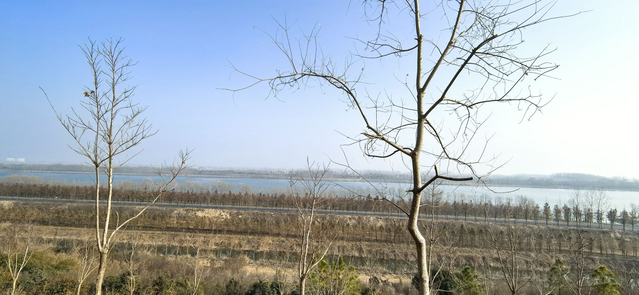梅花山公园旅行图片 2