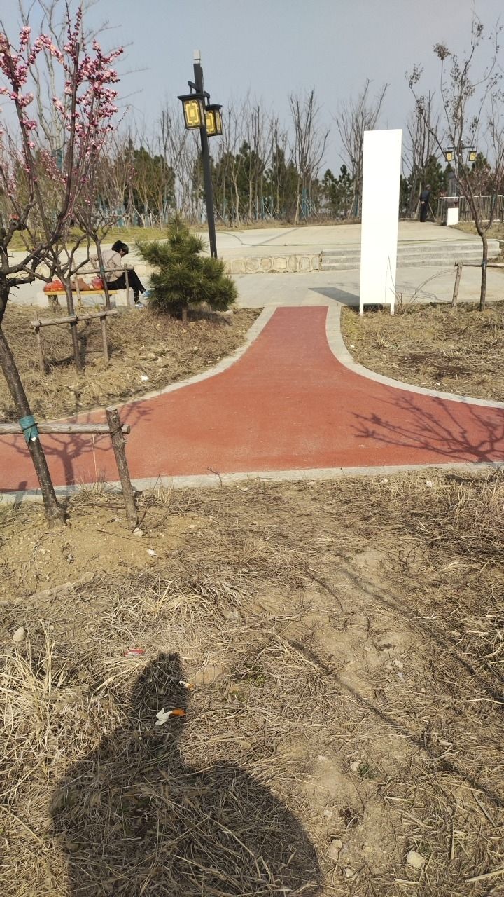 九华山公园旅行图片 3