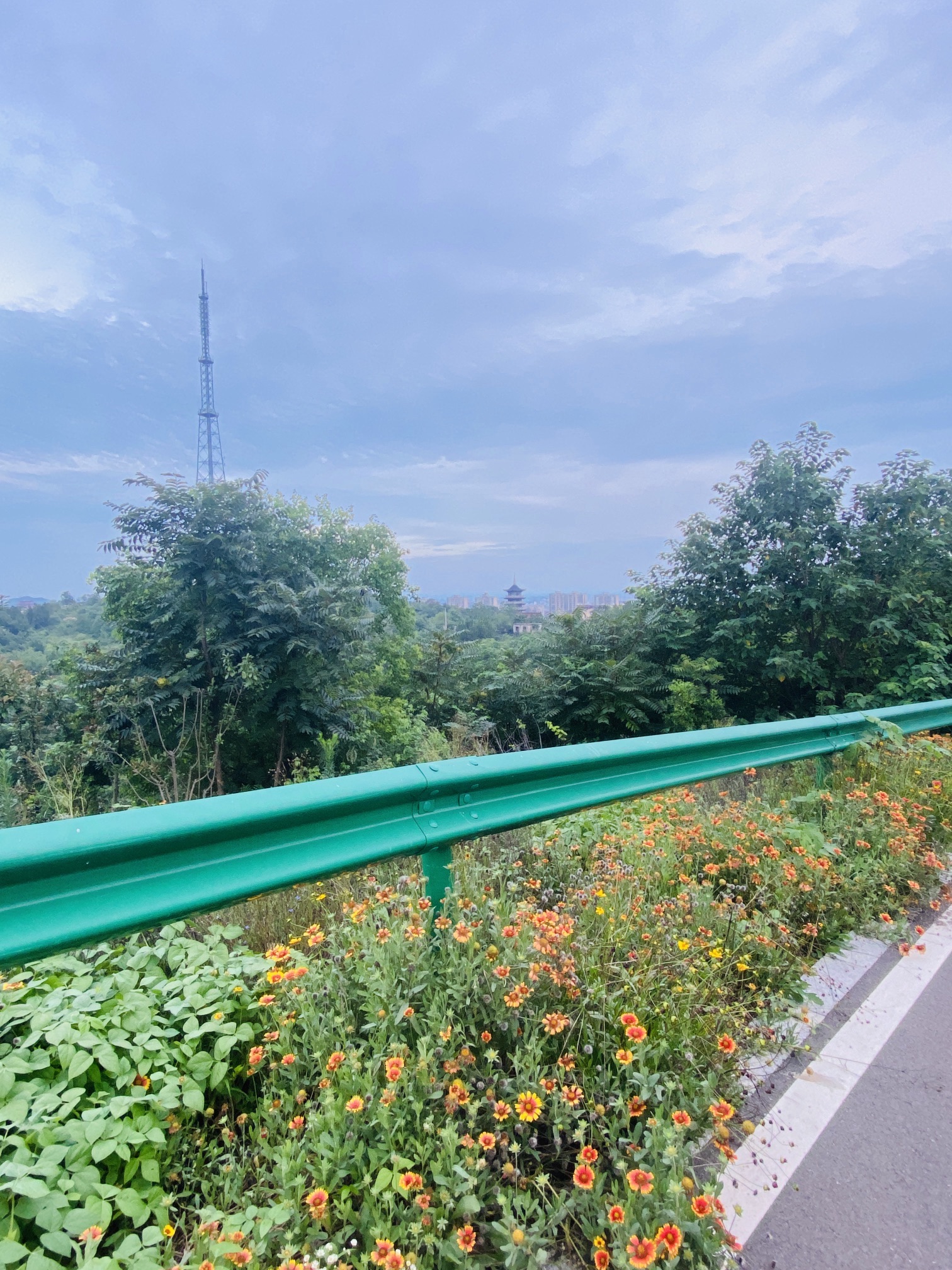 九华山公园旅行图片 3