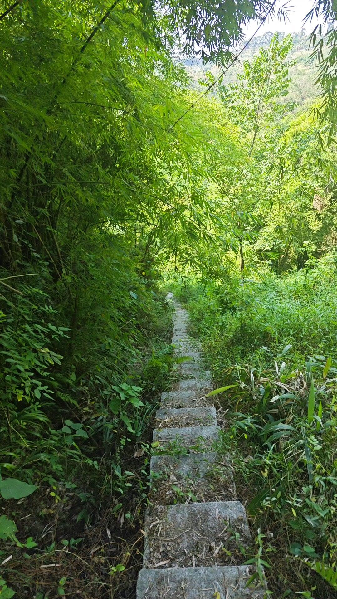 响水洞瀑布旅行图片 3