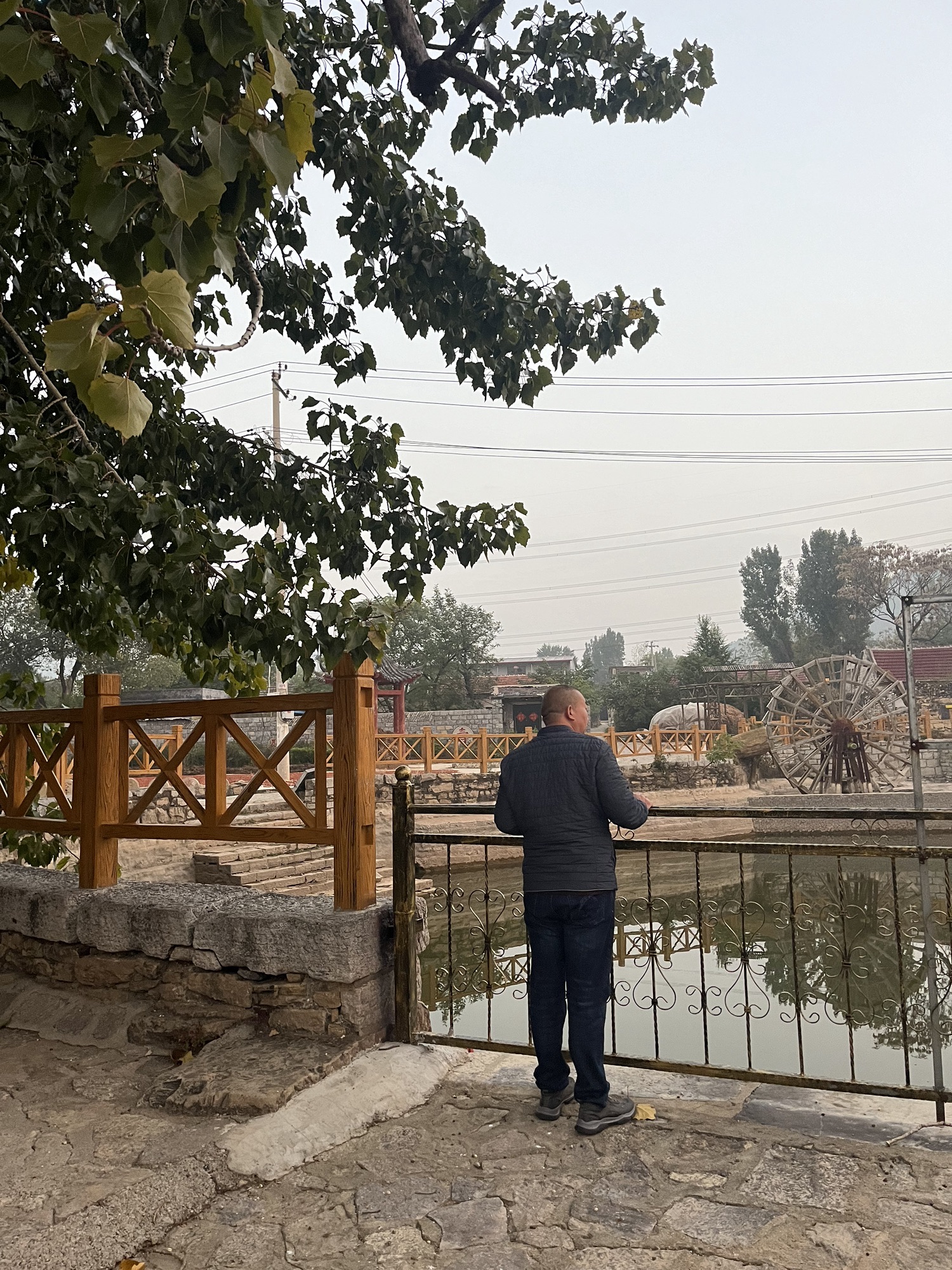古神树法道福地旅游风景区旅行图片 3