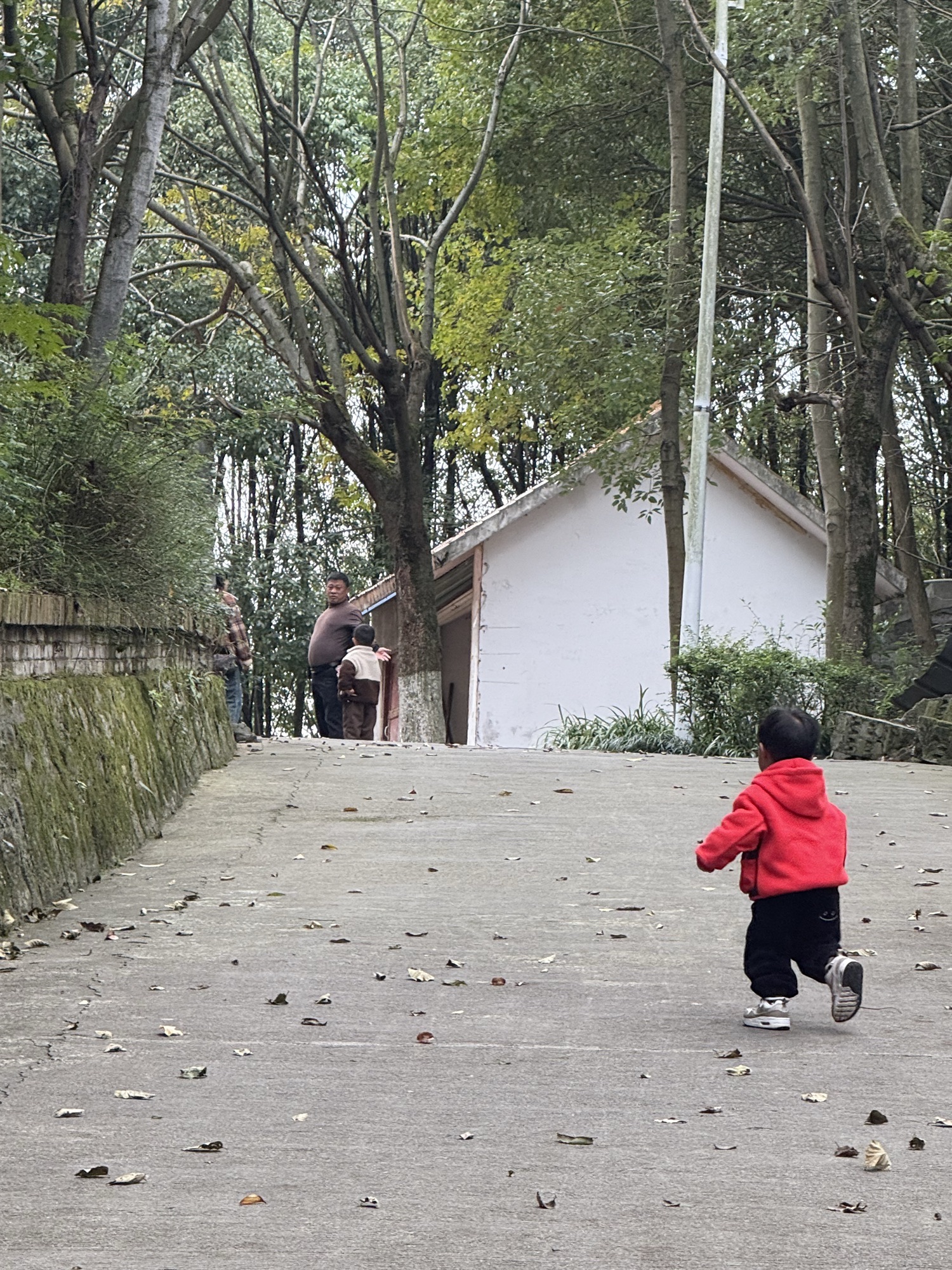 松木嘴红枫园旅行图片 1