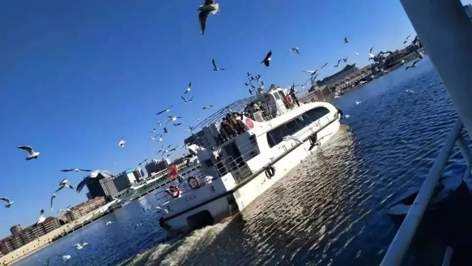 塘沽海洋馆游船码头旅行图片 1