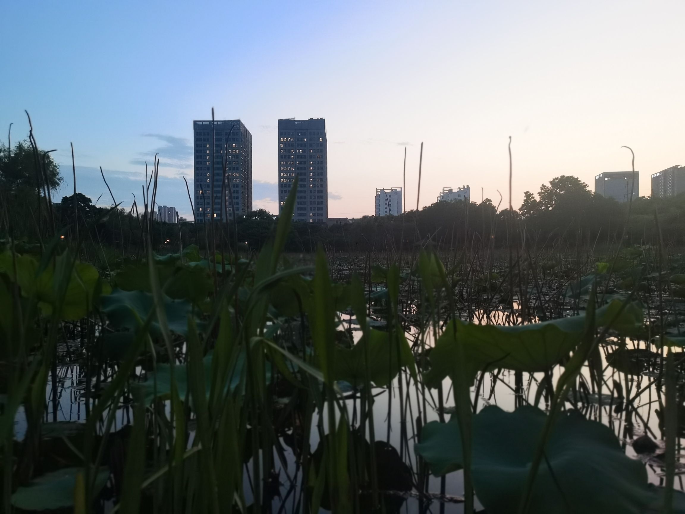蜀山城市运动公园旅行图片 1