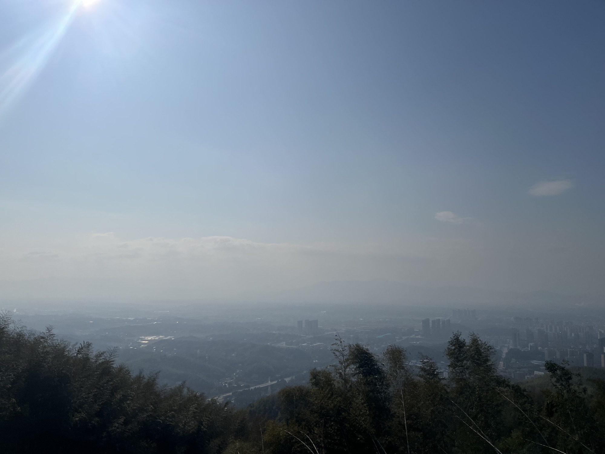 桃花江竹海旅行图片 2