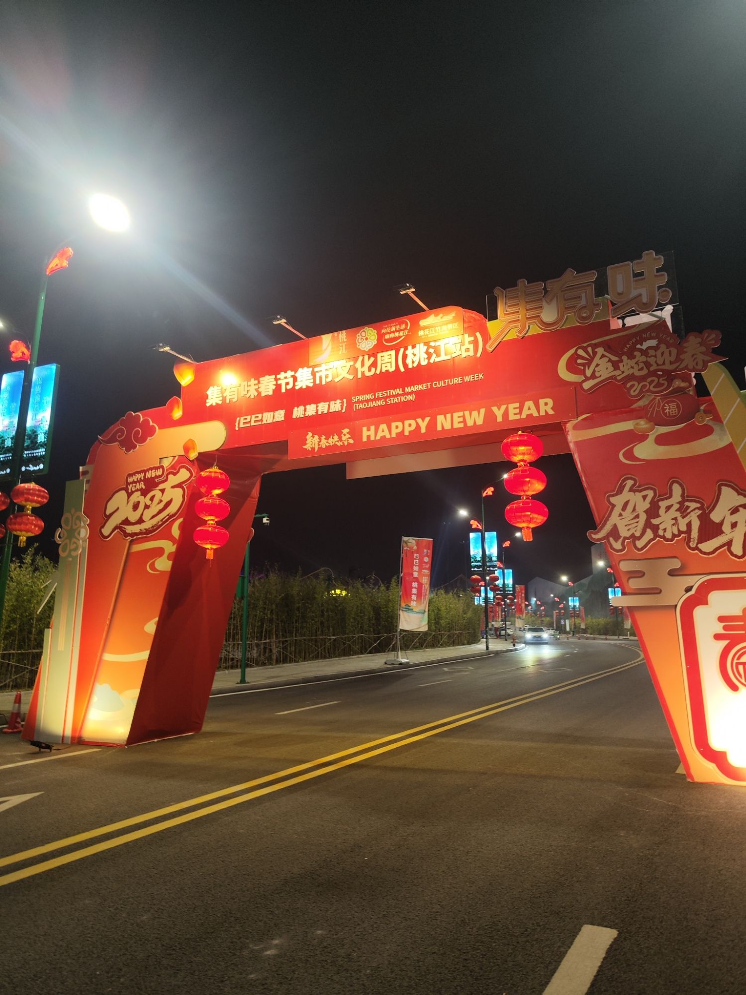 桃花江竹海旅行图片 1