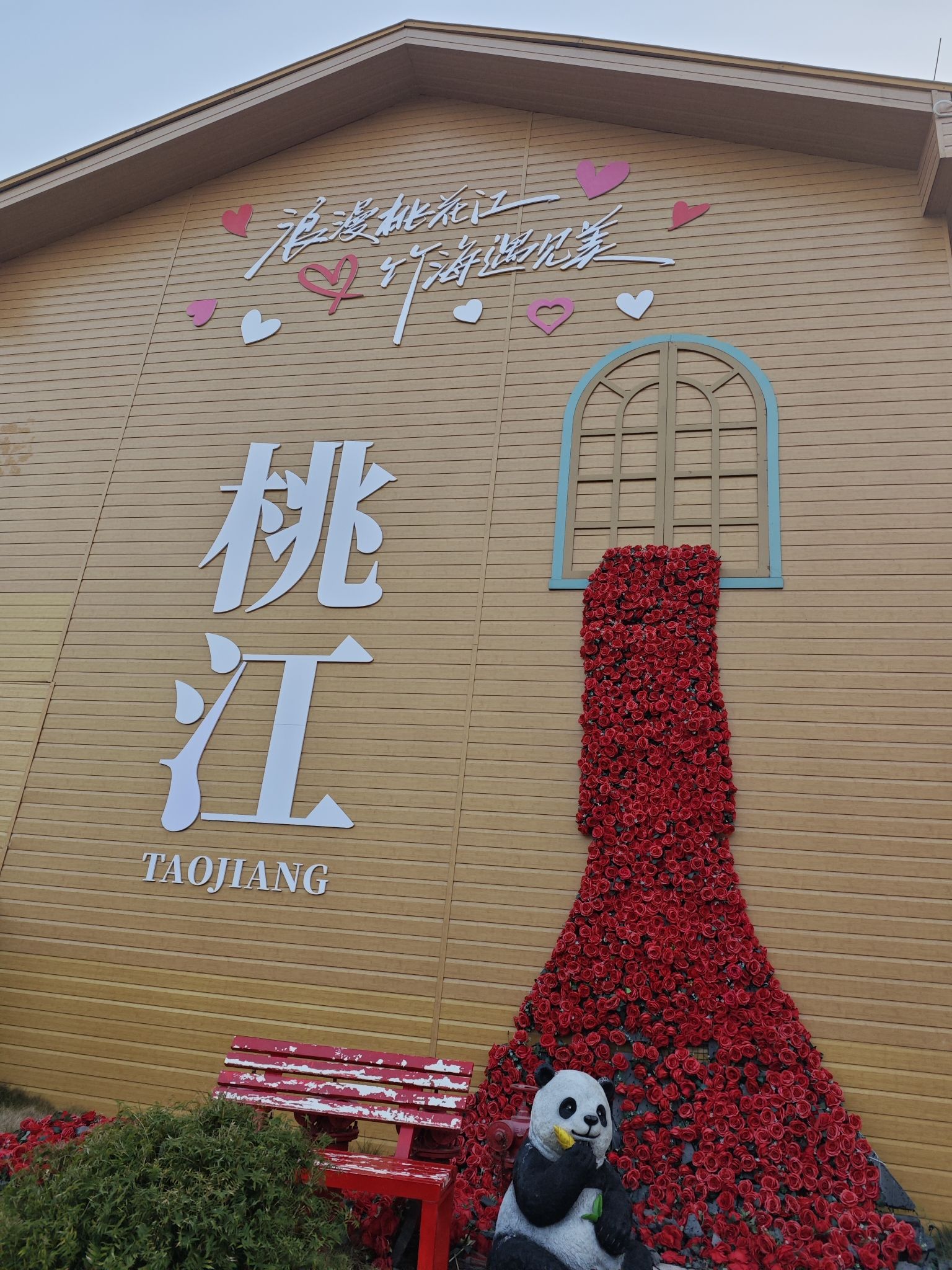 桃花江竹海旅行图片 3