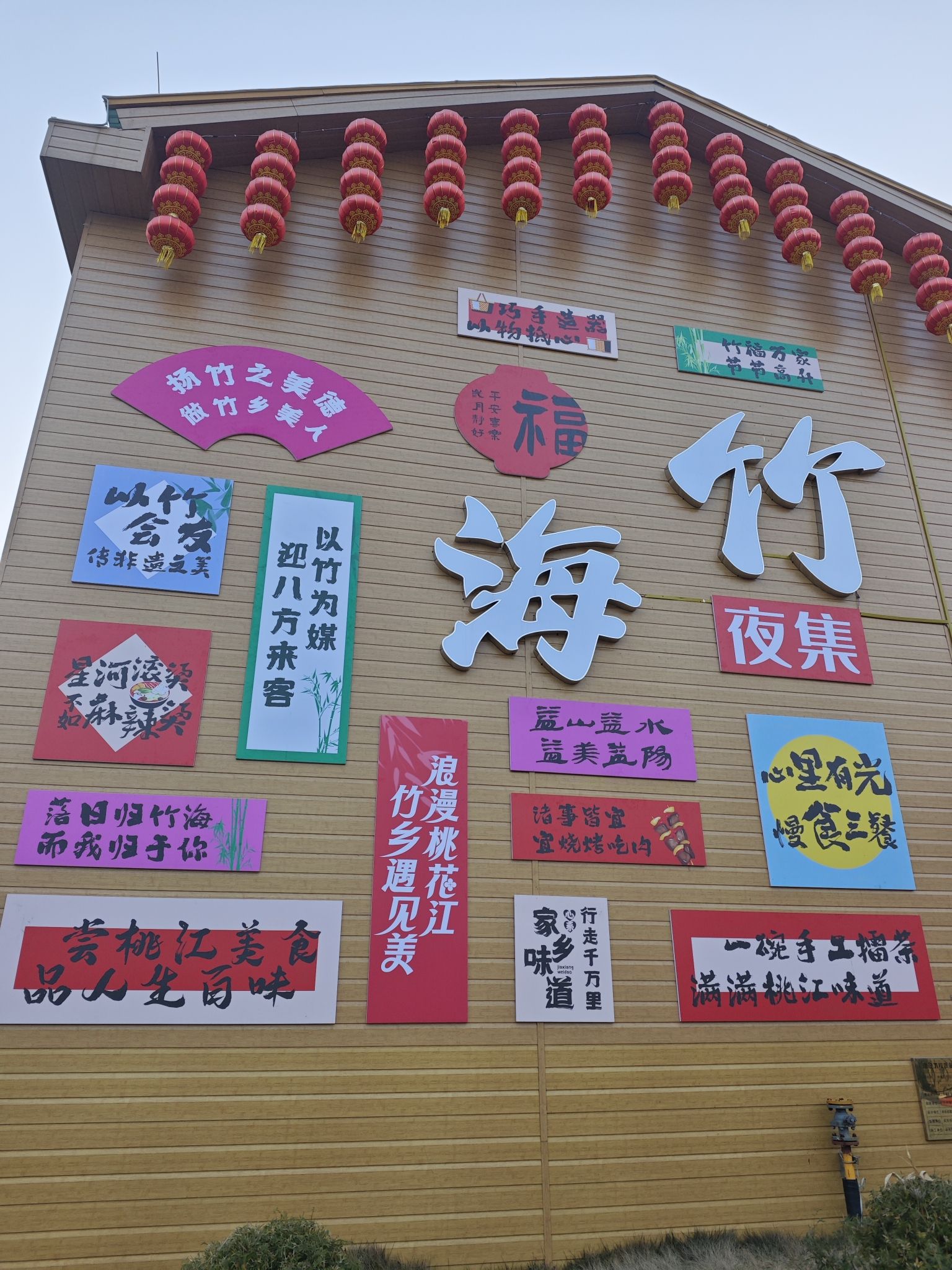 桃花江竹海旅行图片 1