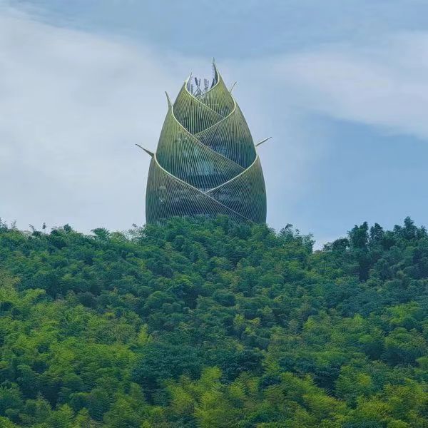 桃花江竹海旅行图片 1