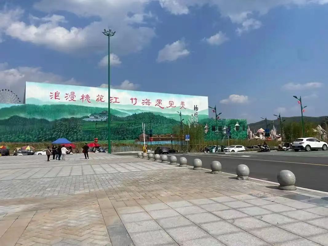 桃花江竹海旅行图片 2