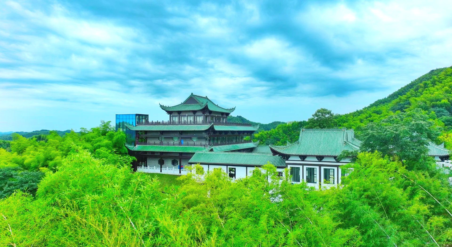 桃花江竹海旅行图片 3