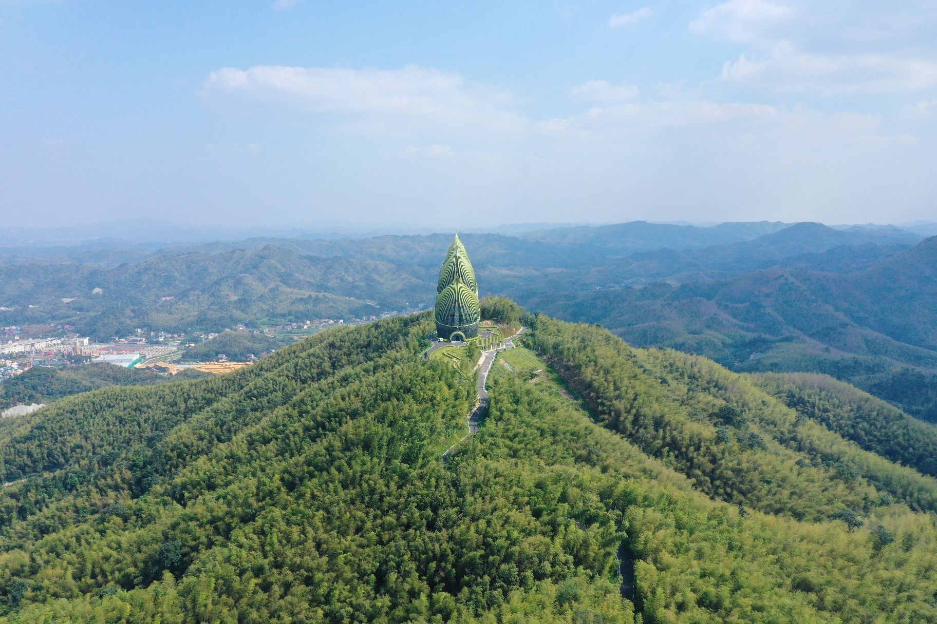 桃花江竹海旅行图片 1