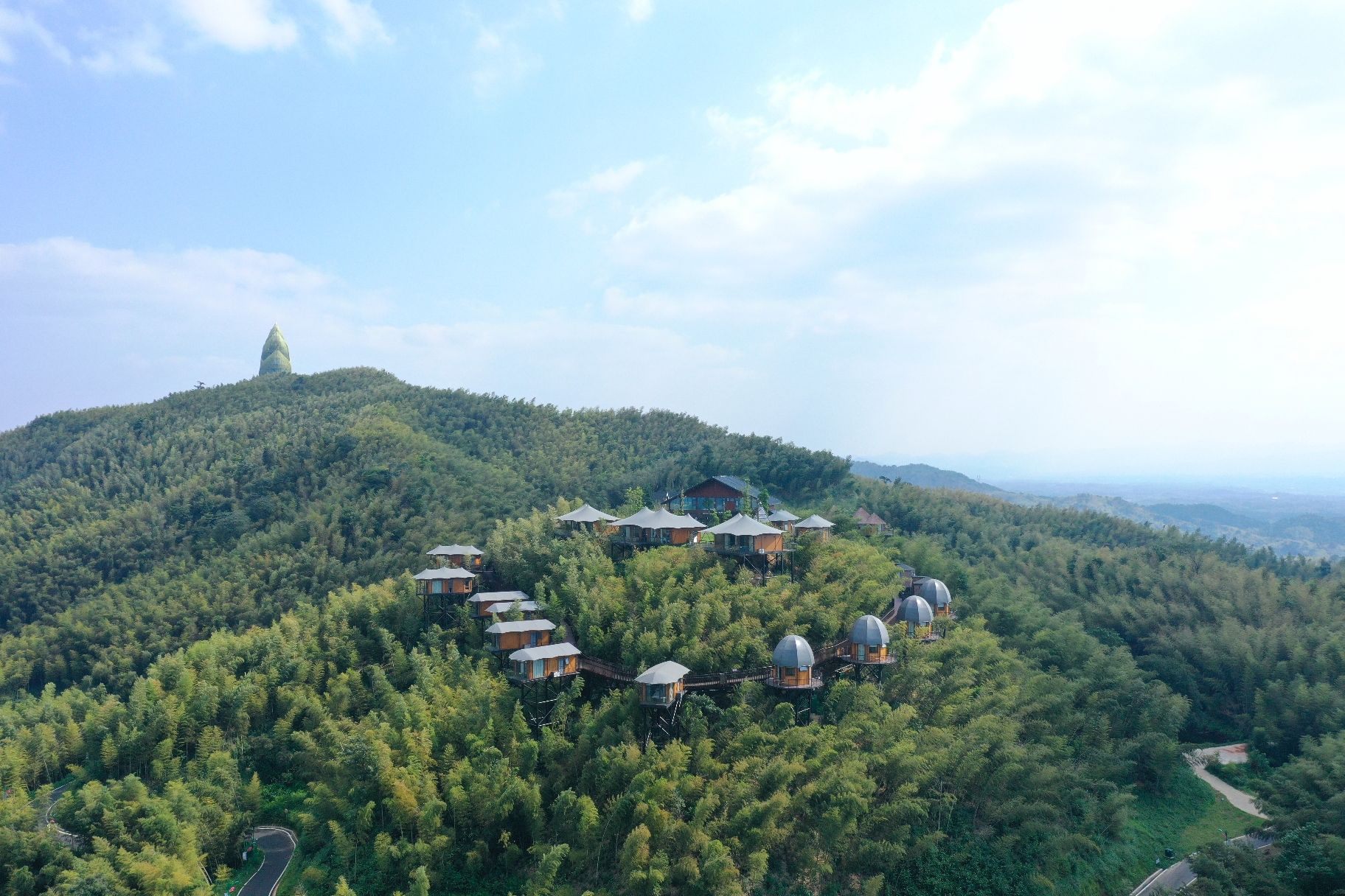 桃花江竹海旅行图片 2