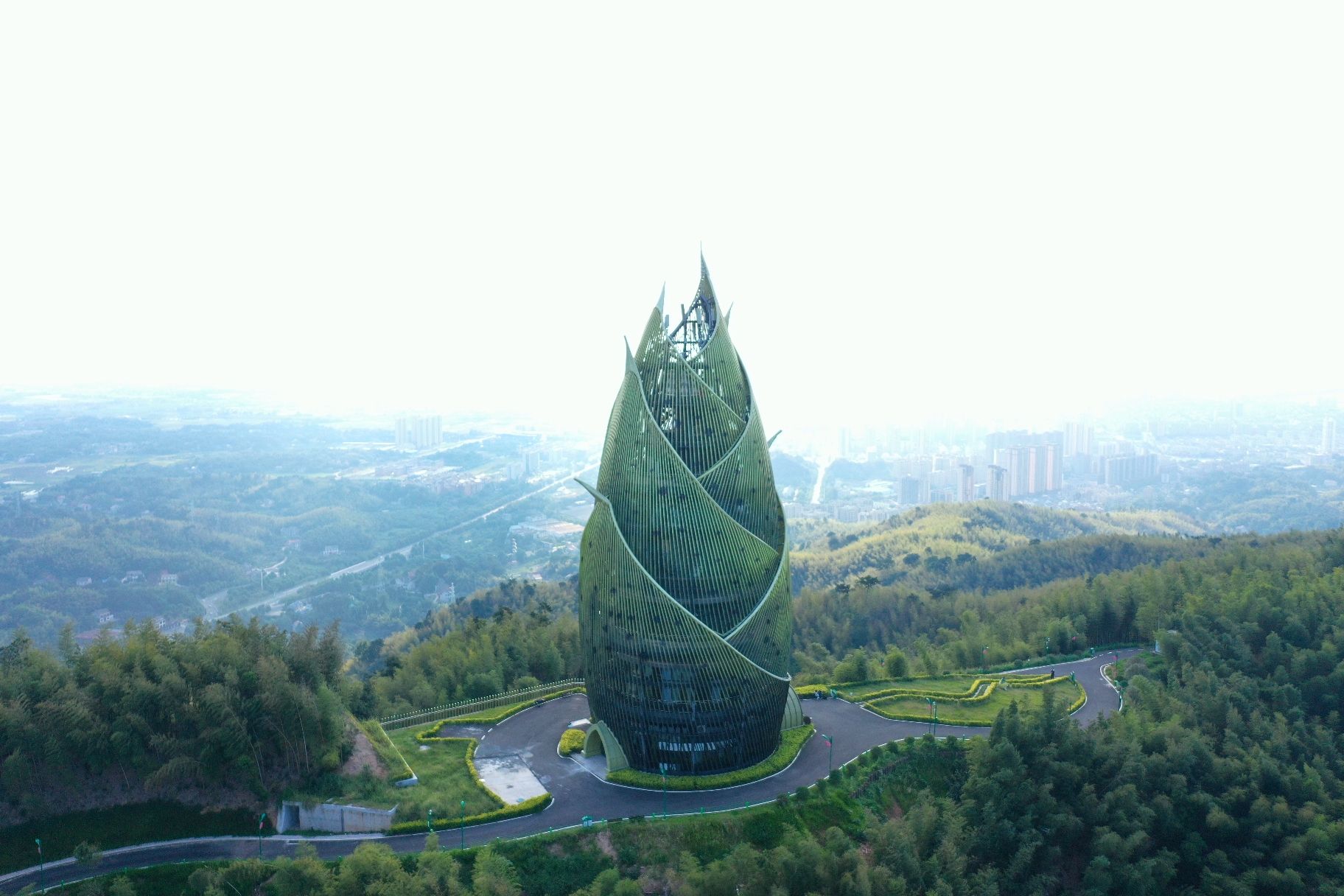 桃花江竹海旅行图片 3