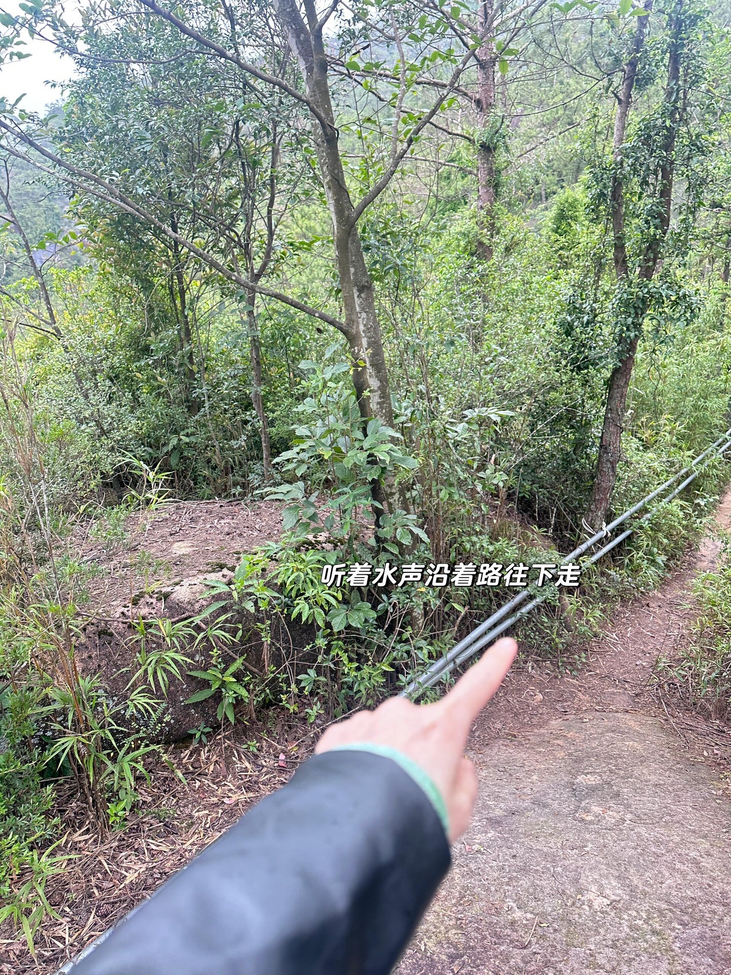 仙游望夫塔旅行图片 1