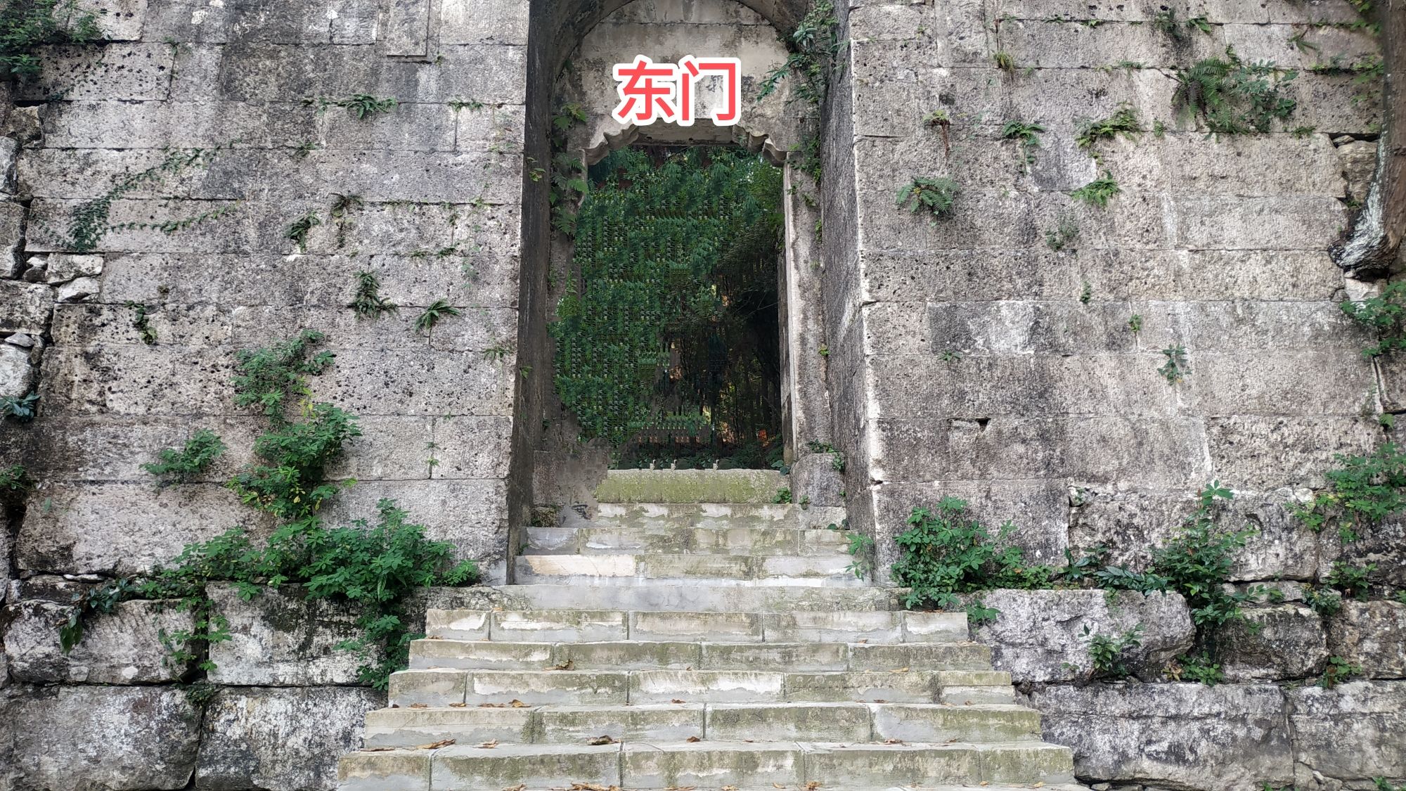 三峨第一寨旅行图片 1