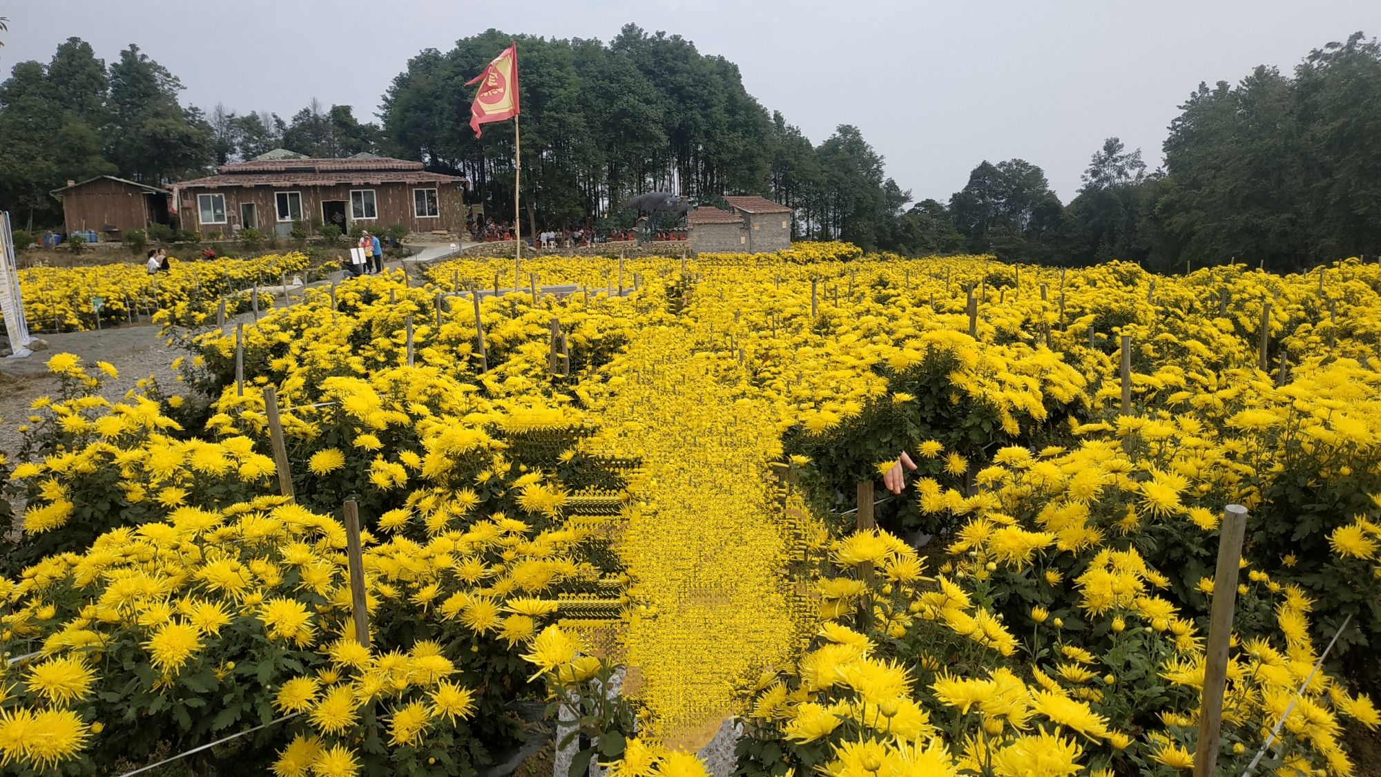 三峨第一寨旅行图片 3