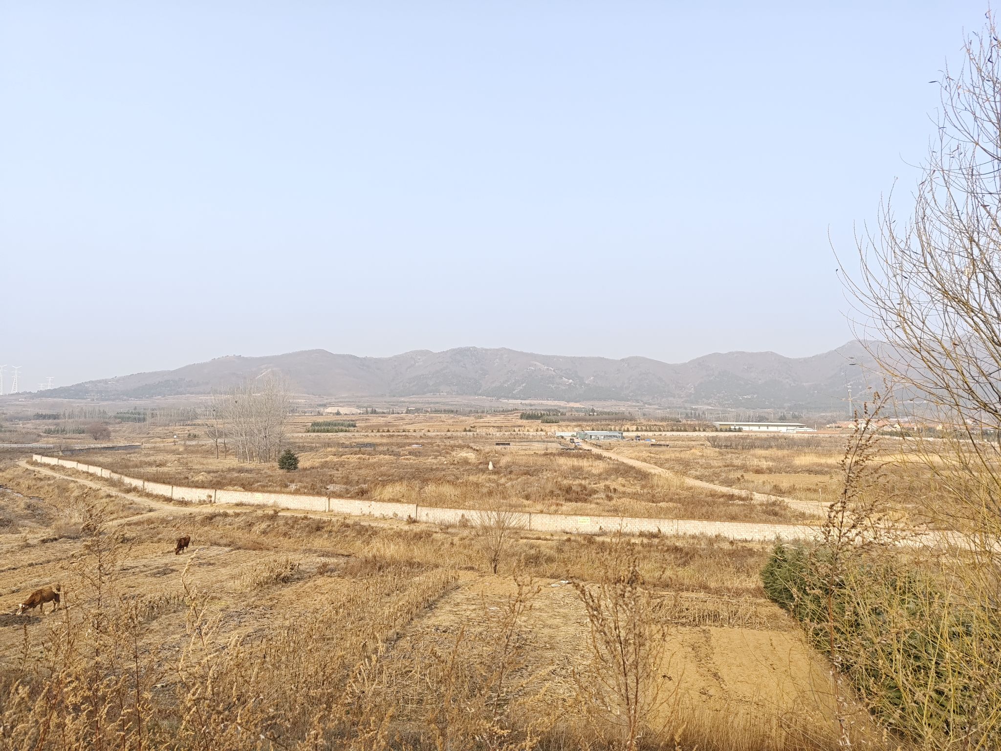 莲花山自行车运动公园旅行图片 2