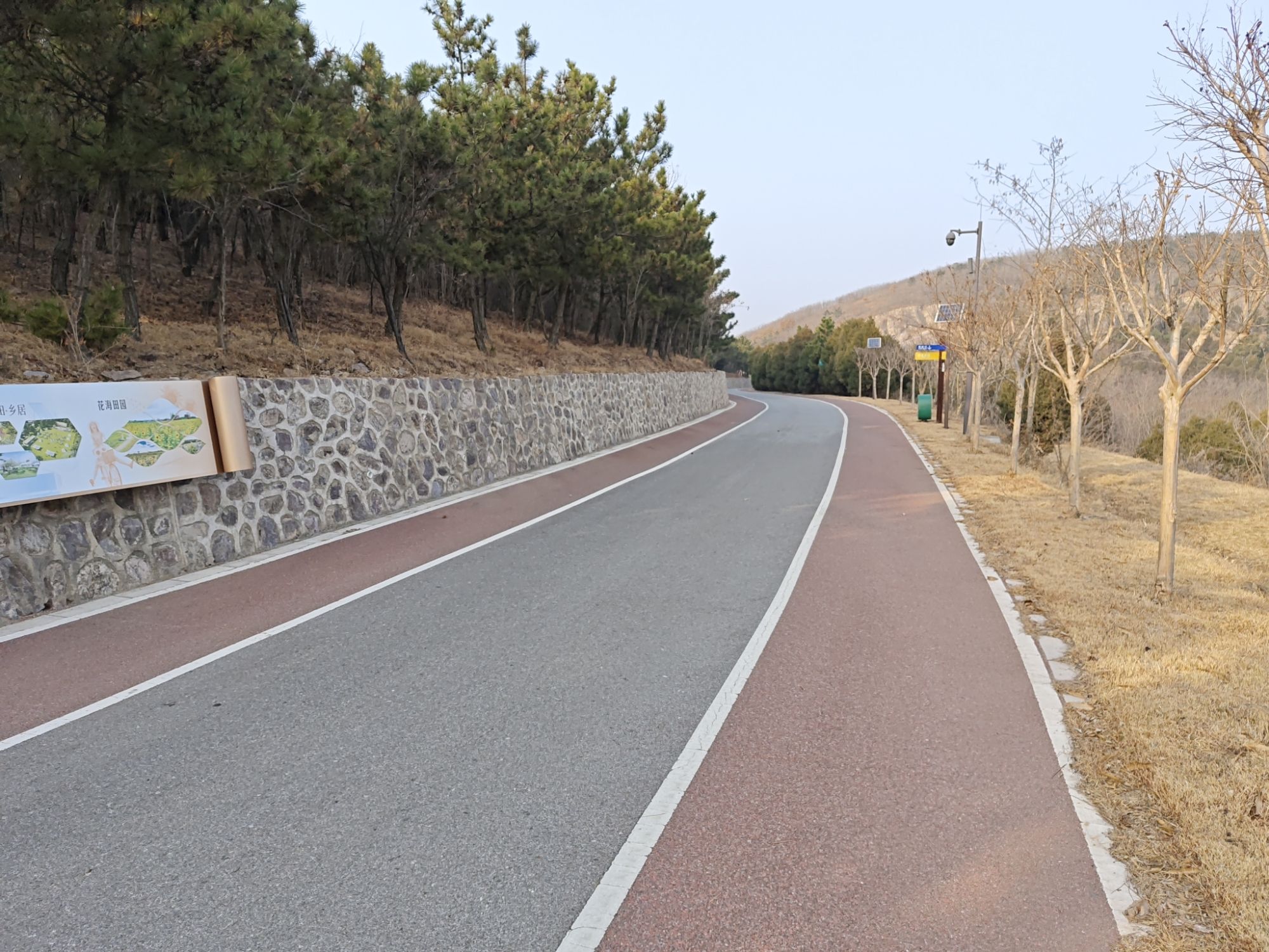 莲花山自行车运动公园旅行图片 1