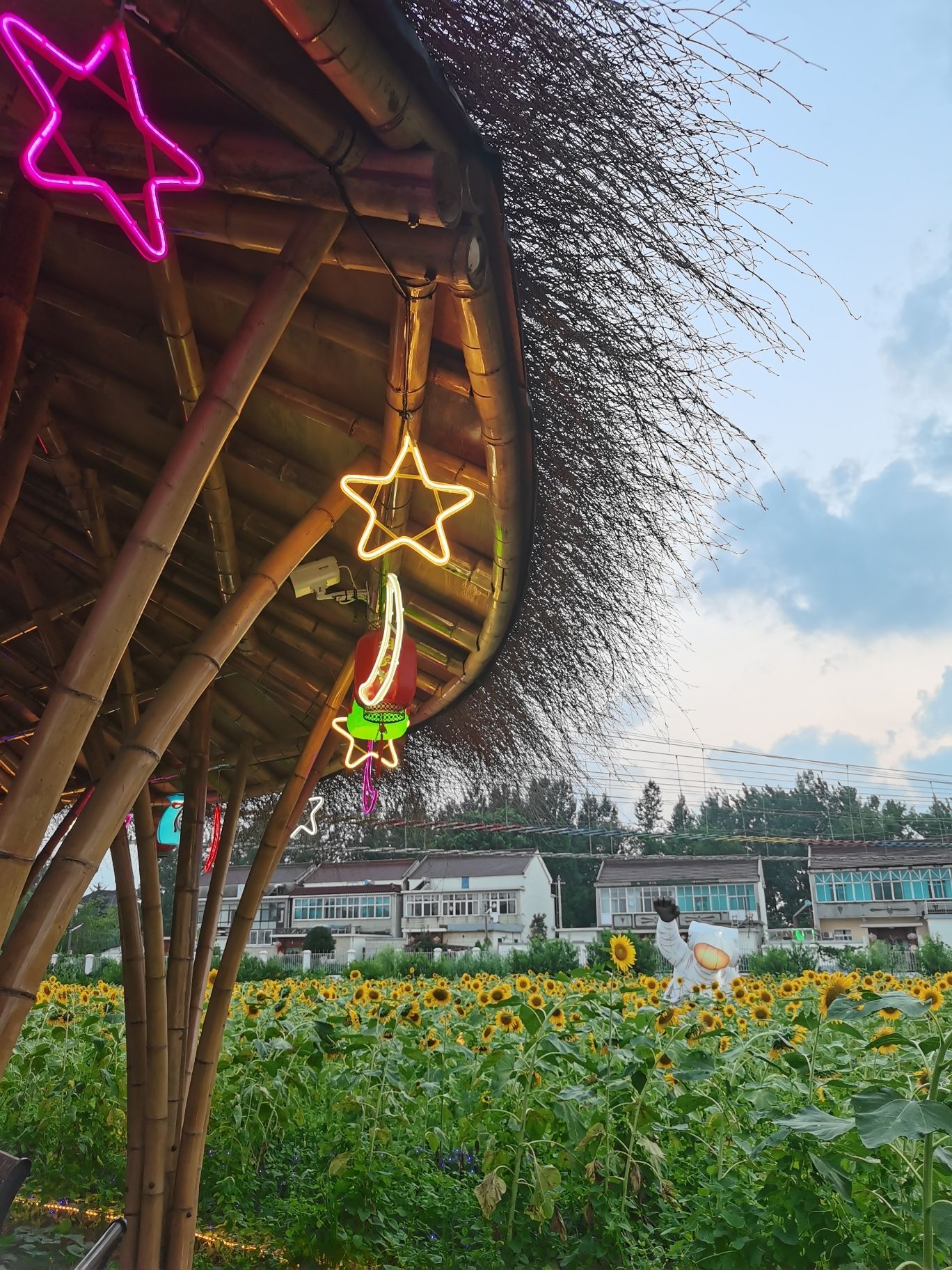 相聚缘儿童欢乐园旅行图片 2