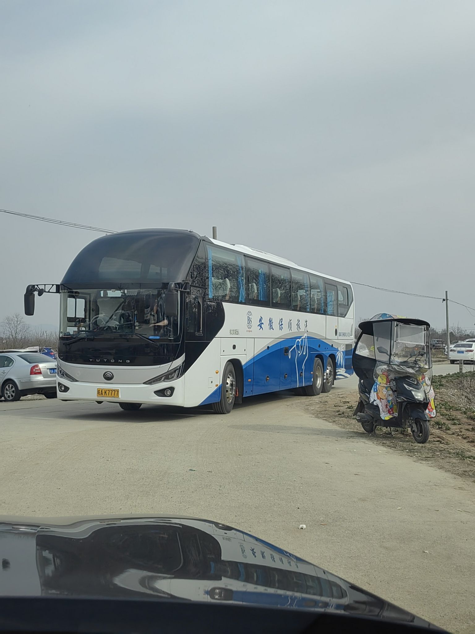合肥市清水湾梅花园旅行图片 3