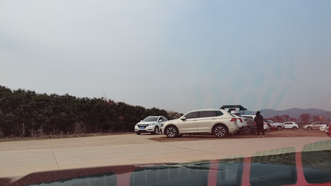 合肥市清水湾梅花园旅行图片 3