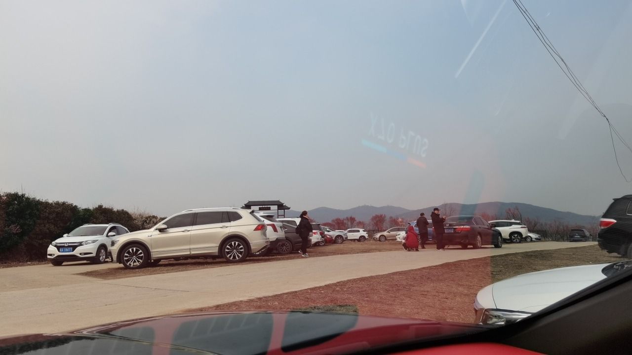 合肥市清水湾梅花园旅行图片 2