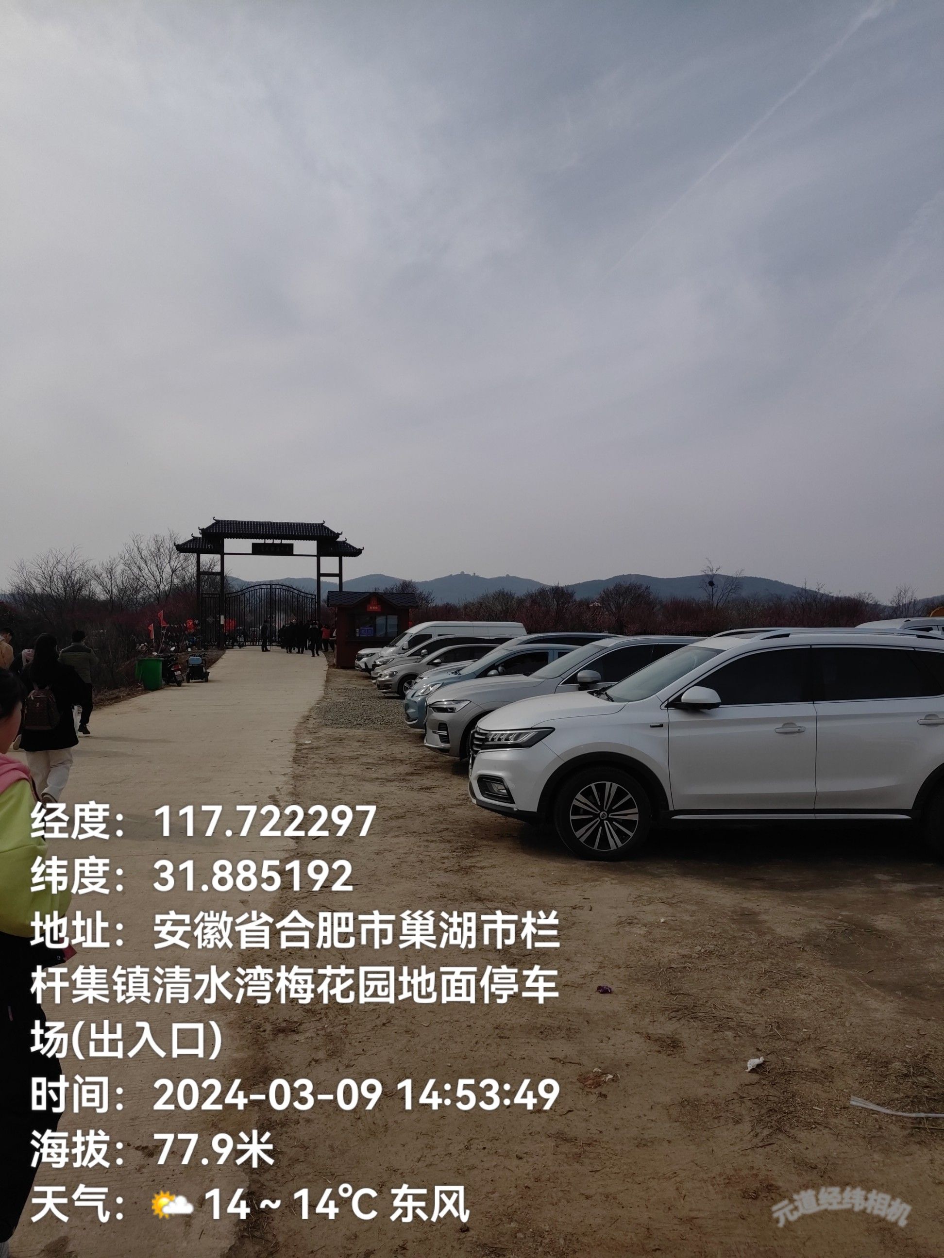 合肥市清水湾梅花园旅行图片 2