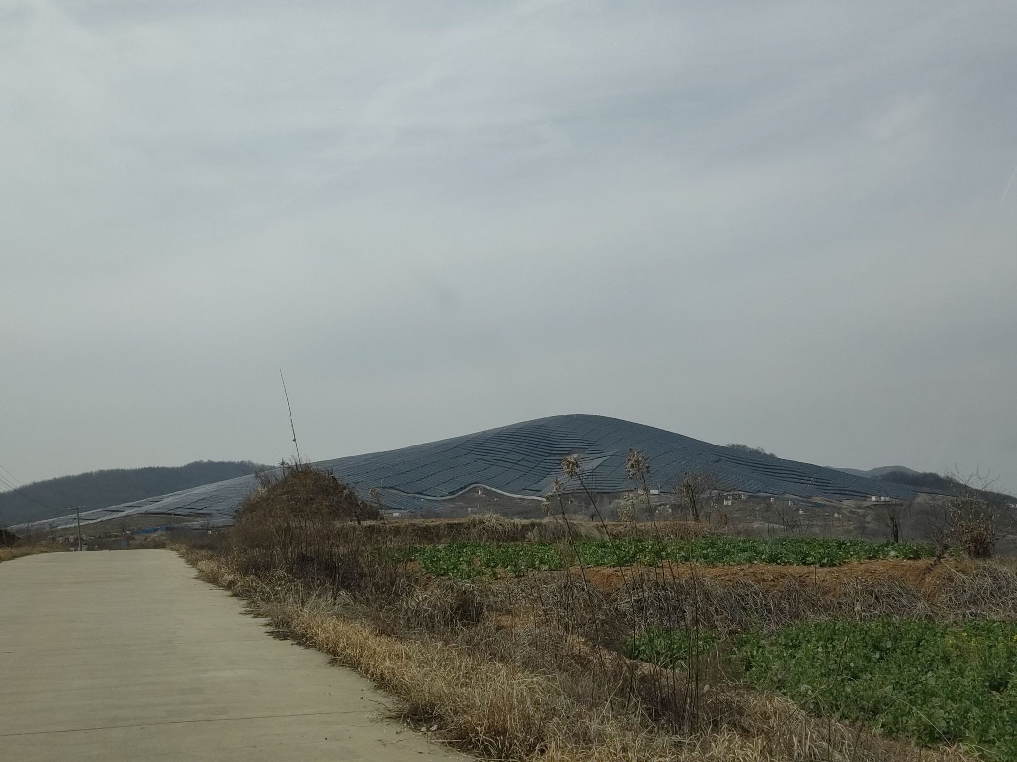 合肥市清水湾梅花园旅行图片 1
