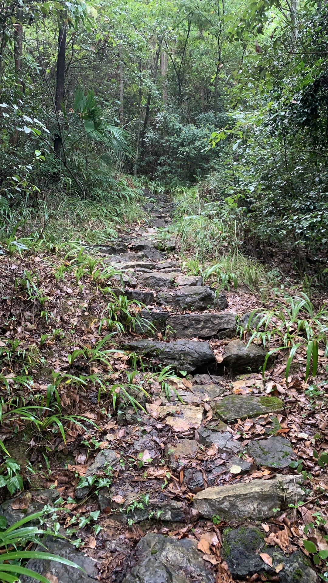 李来亨抗清遗址风景区旅行图片 2