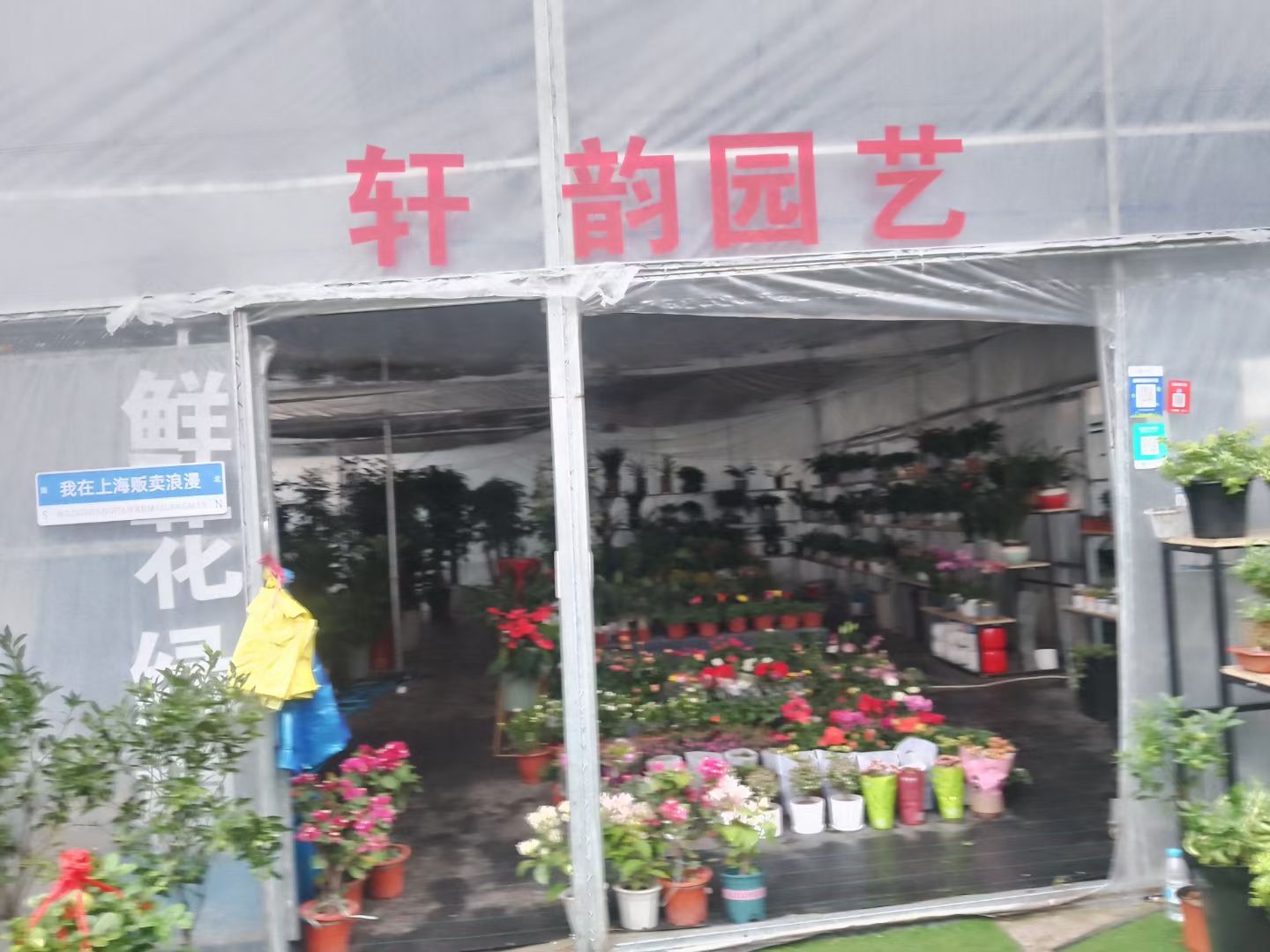 上海轩韵园艺花卉市场