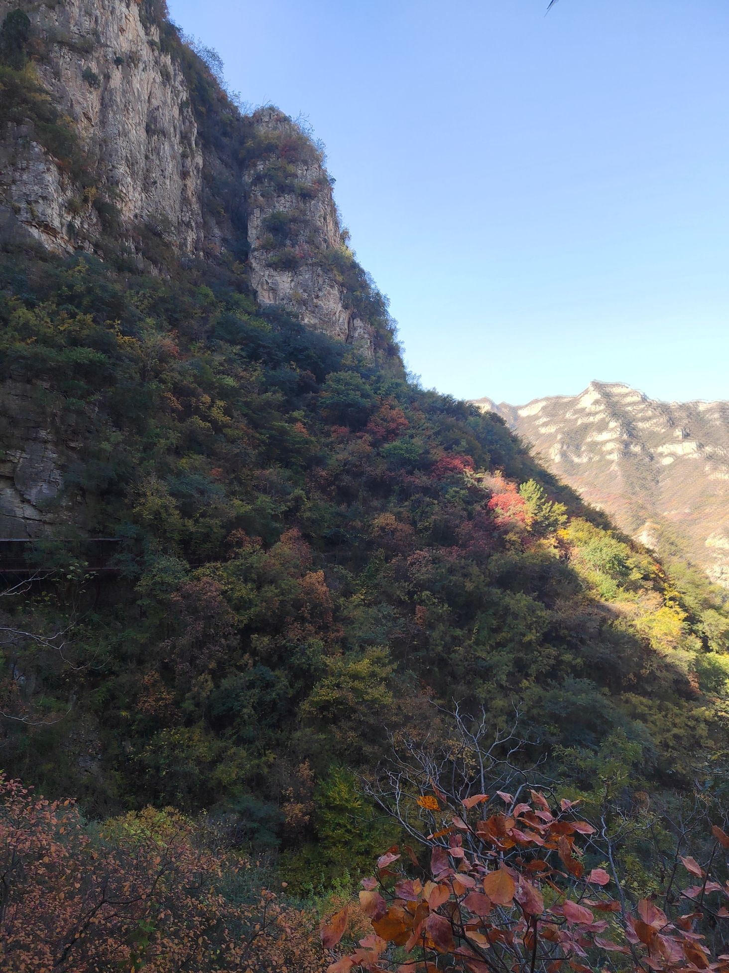 璧山景区旅行图片 2