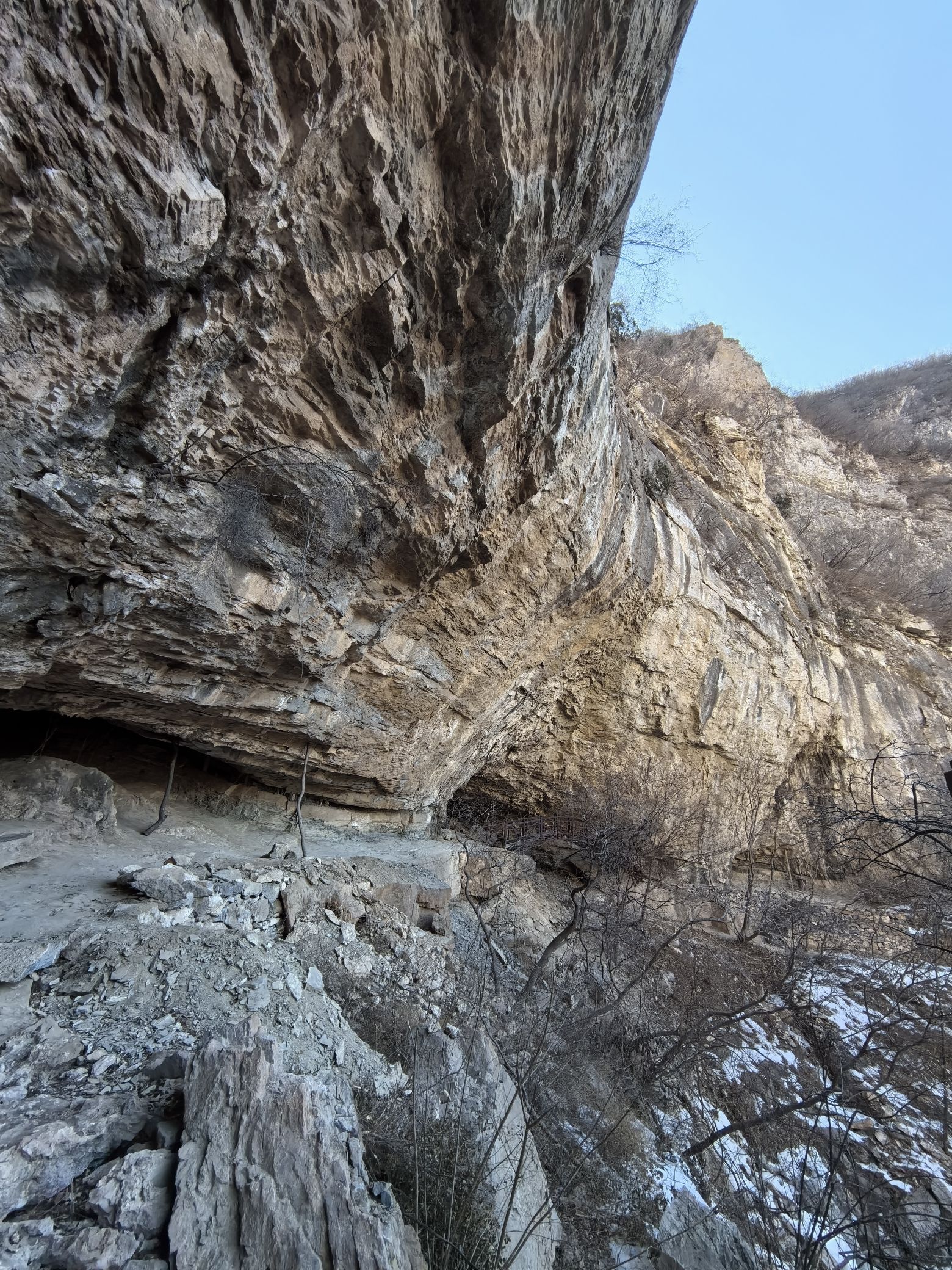 璧山景区旅行图片 1