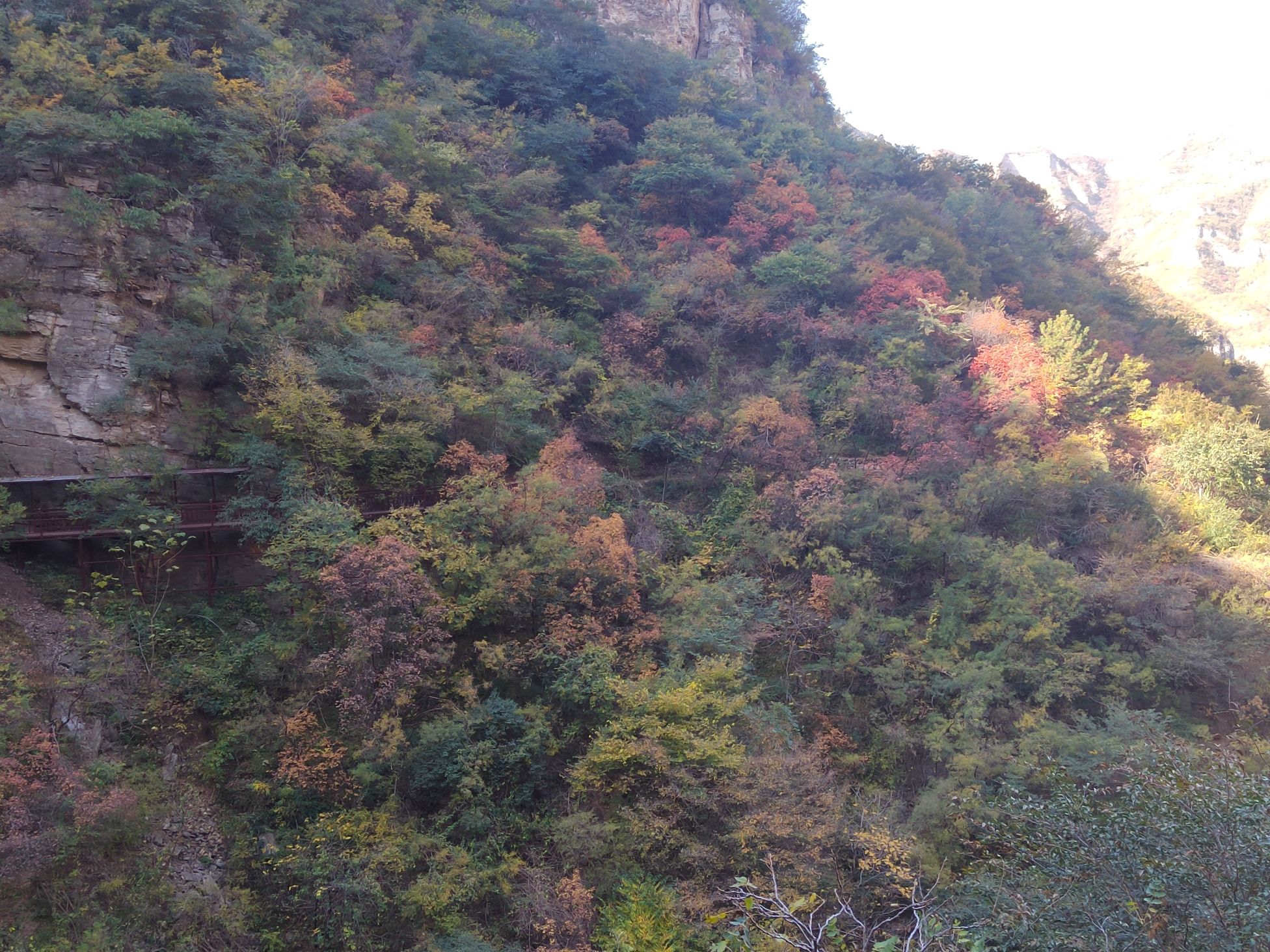 璧山景区旅行图片 3