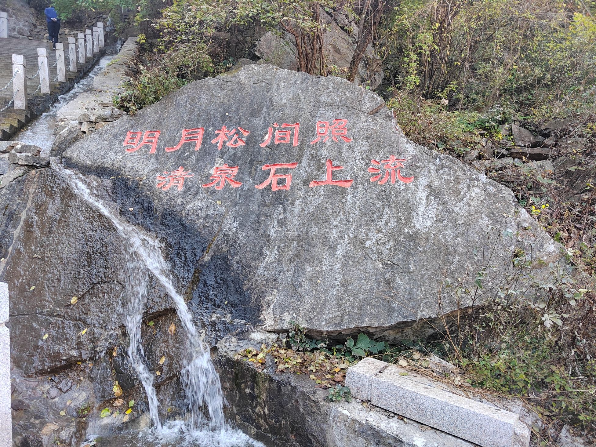 璧山景区旅行图片 1