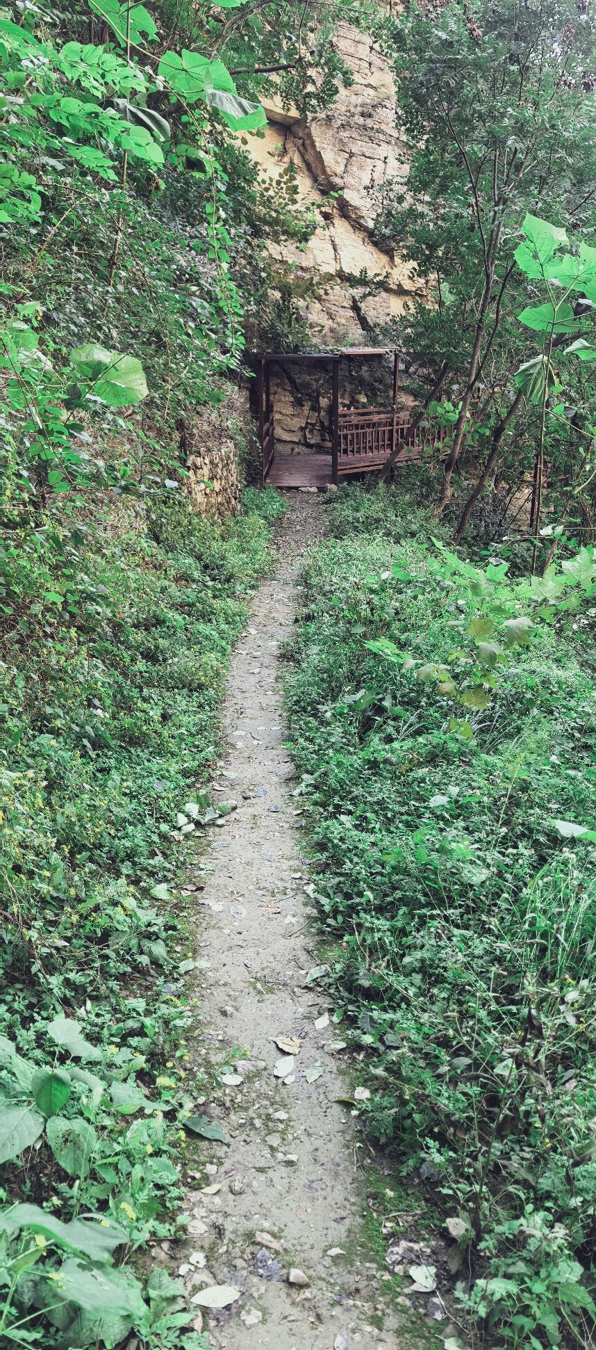 璧山景区旅行图片 3