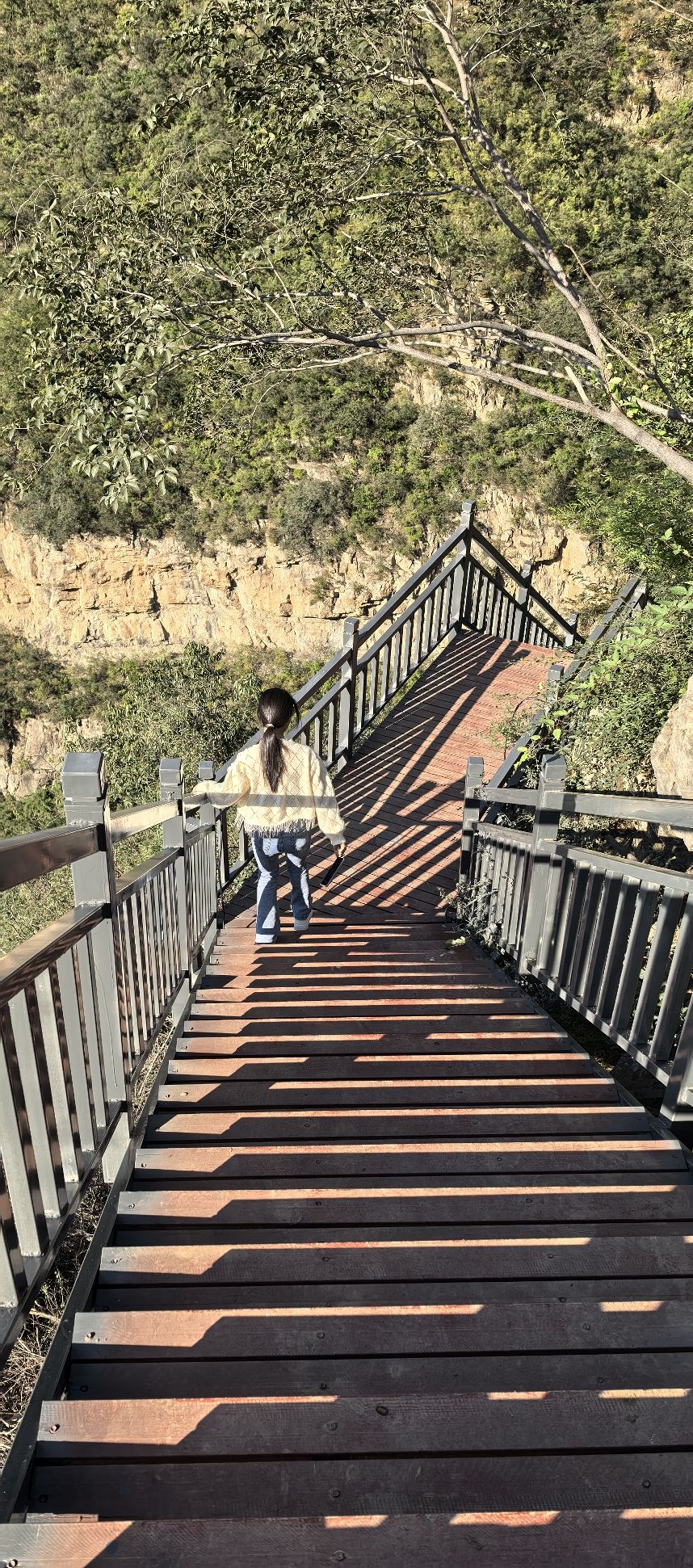 璧山景区旅行图片 2