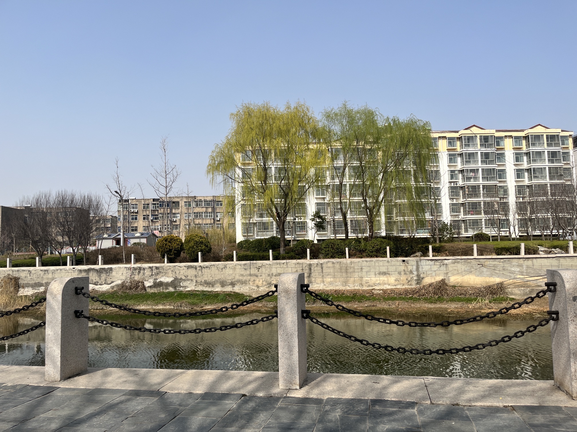 民丰小区南侧口袋公园旅行图片 1
