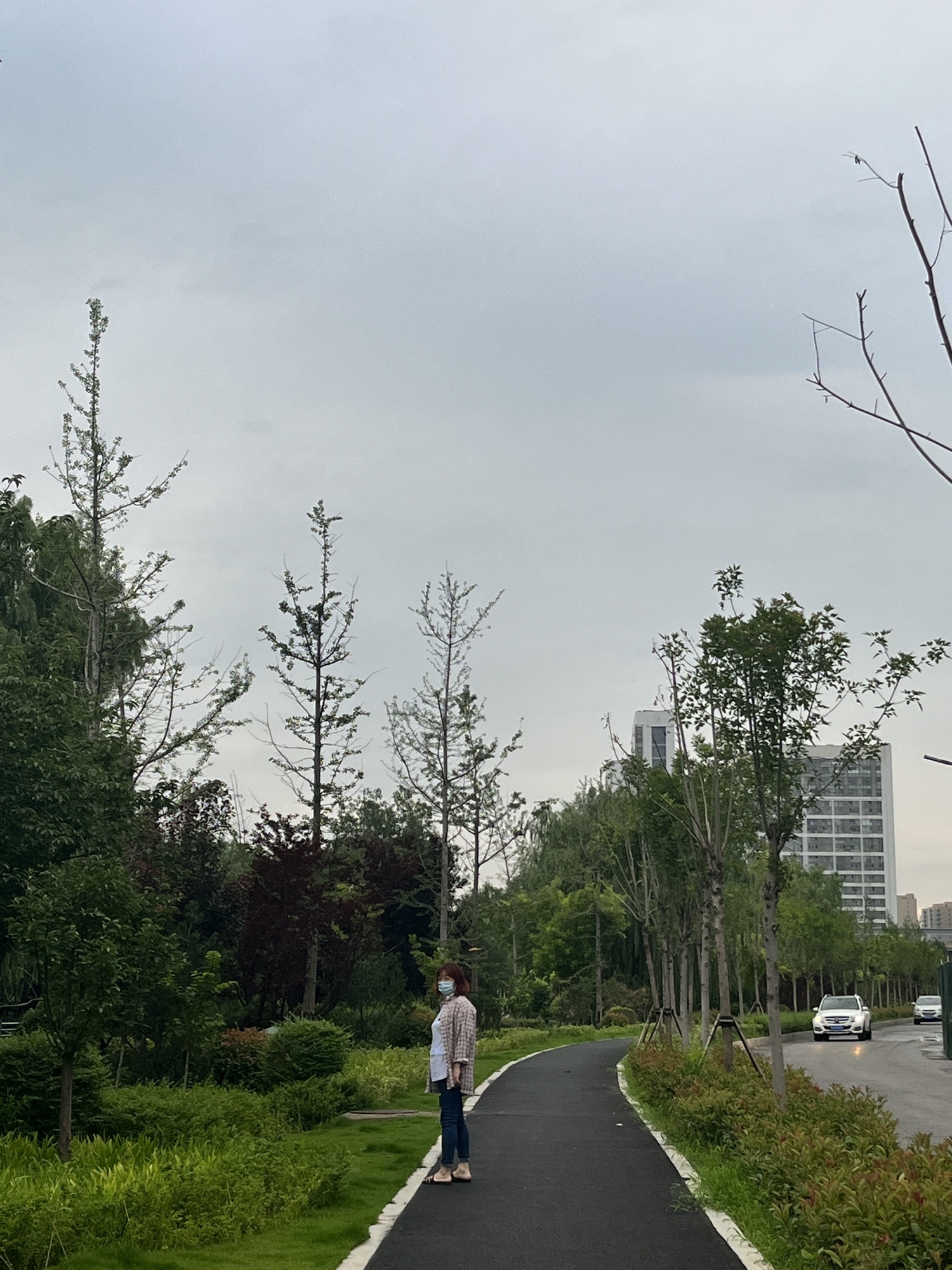 民丰小区南侧口袋公园旅行图片 2