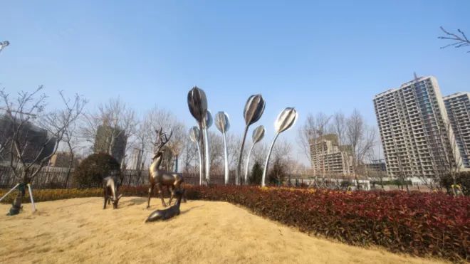 涑河体育公园旅行图片 1