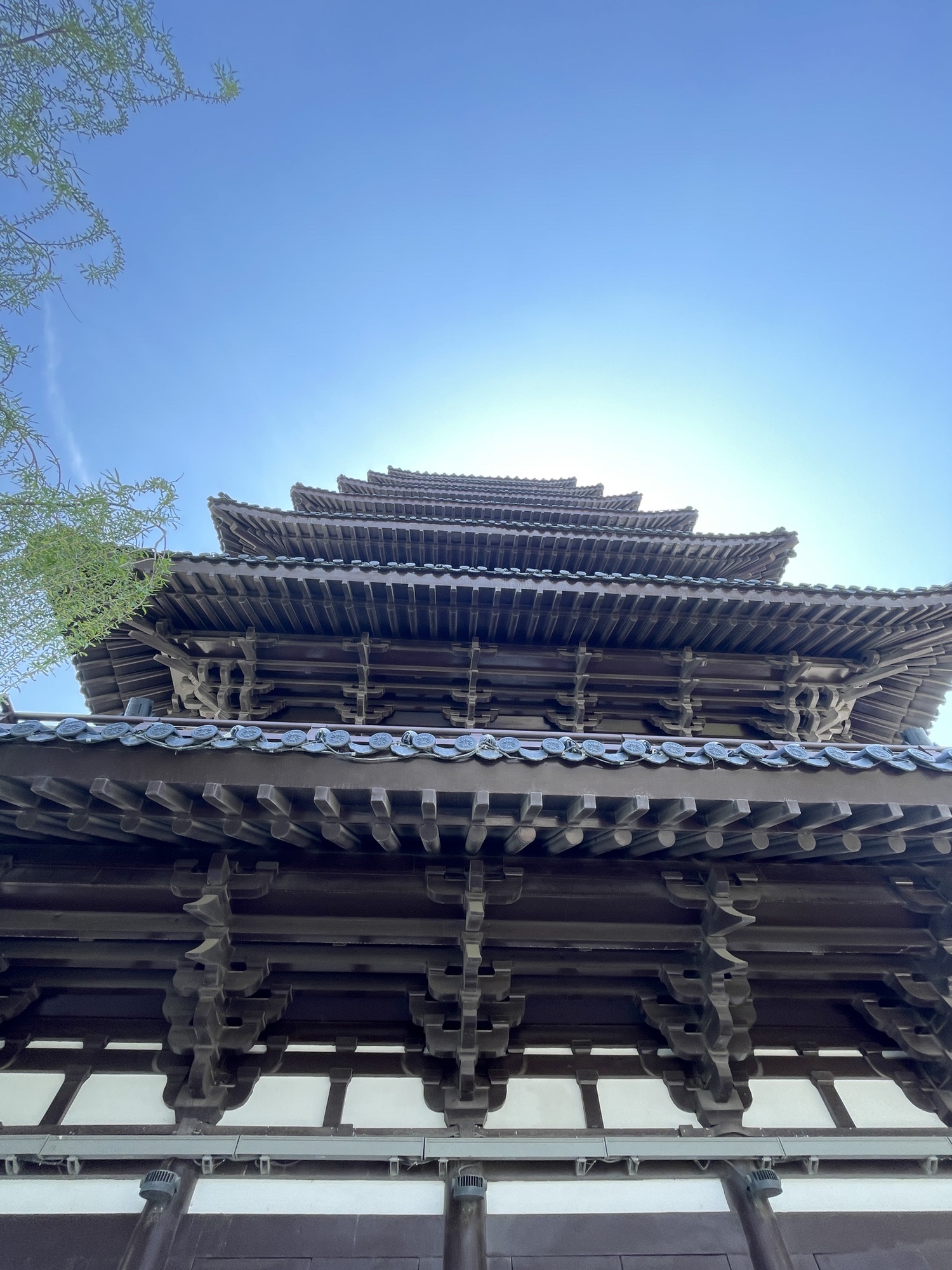 东莱阁旅行图片 3