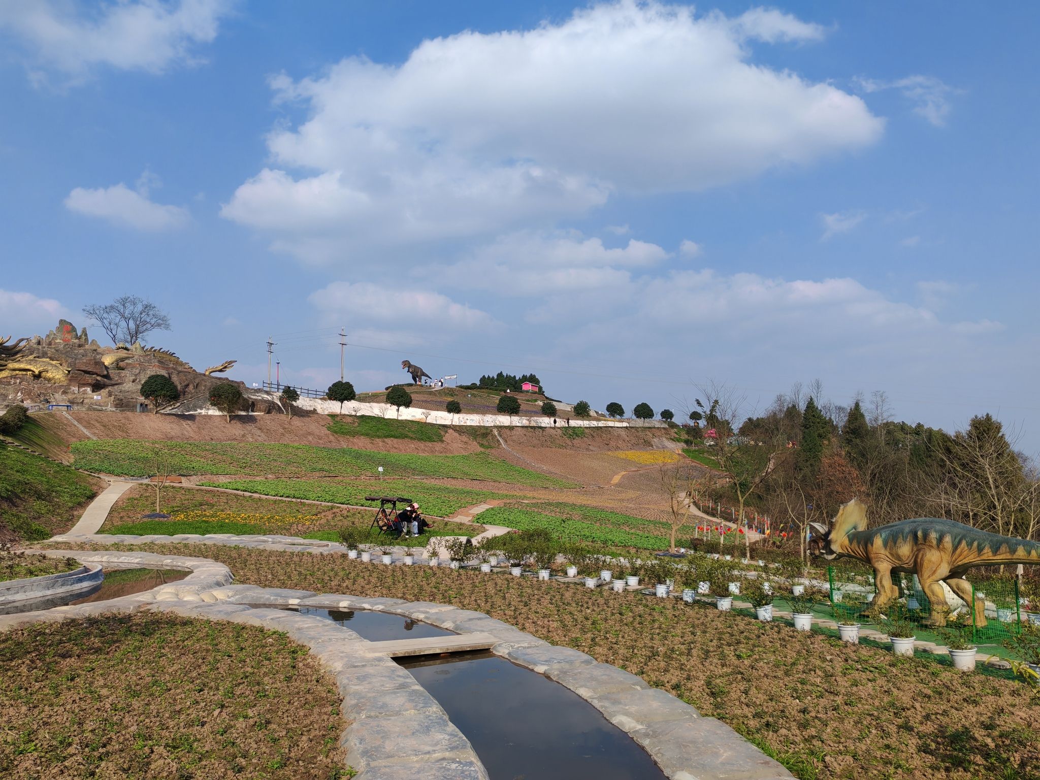 龙门花海旅行图片 3