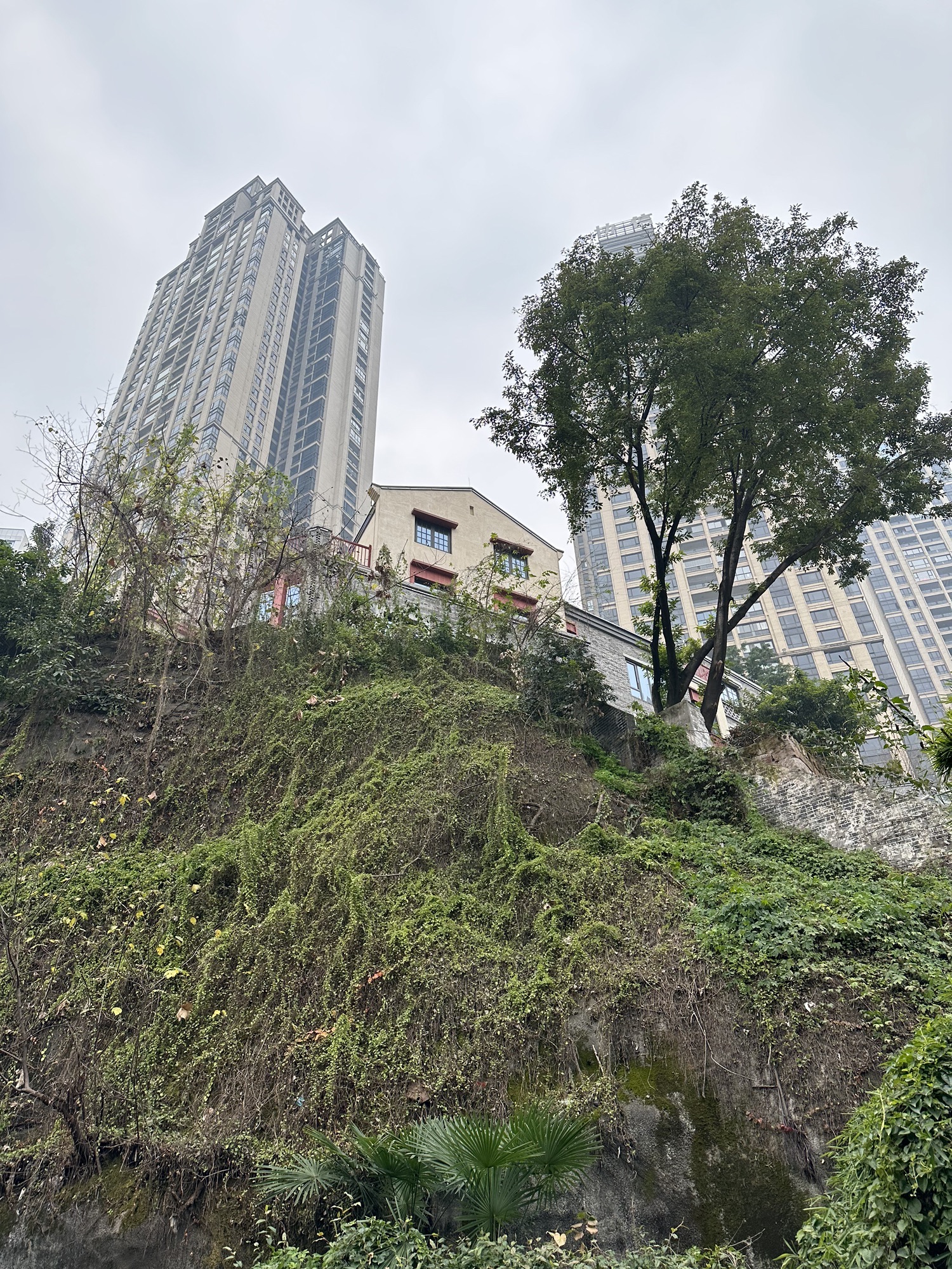 陈诚官邸旧址旅行图片 3