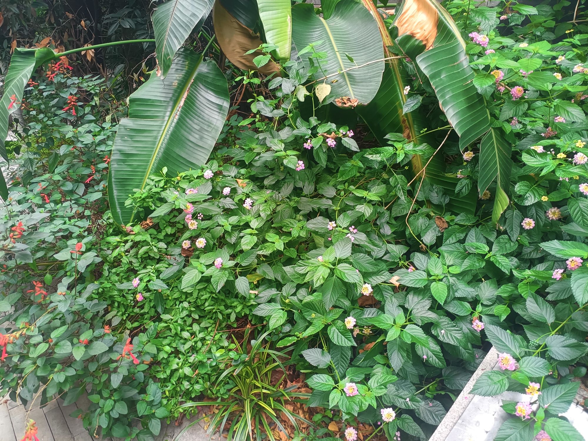 陈诚官邸旧址旅行图片 2