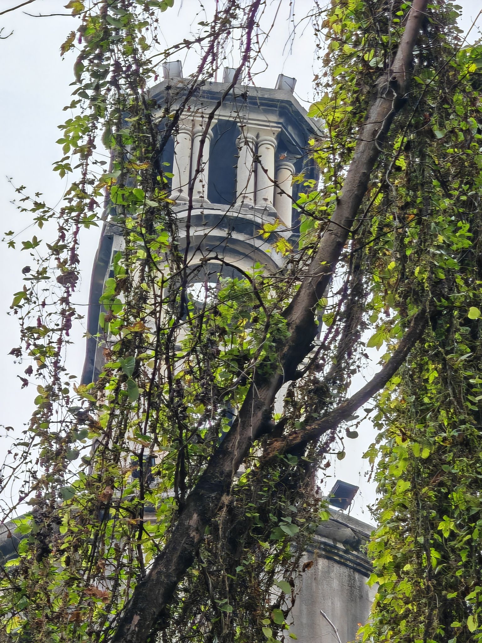 打枪坝水厂纪念塔(重庆自来水厂旧址)旅行图片 2