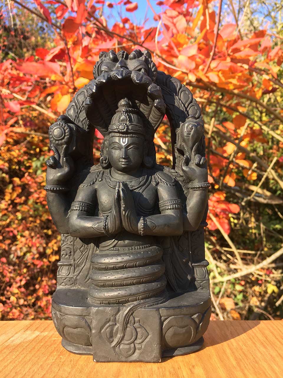 场地封面-净观瑜伽生活馆