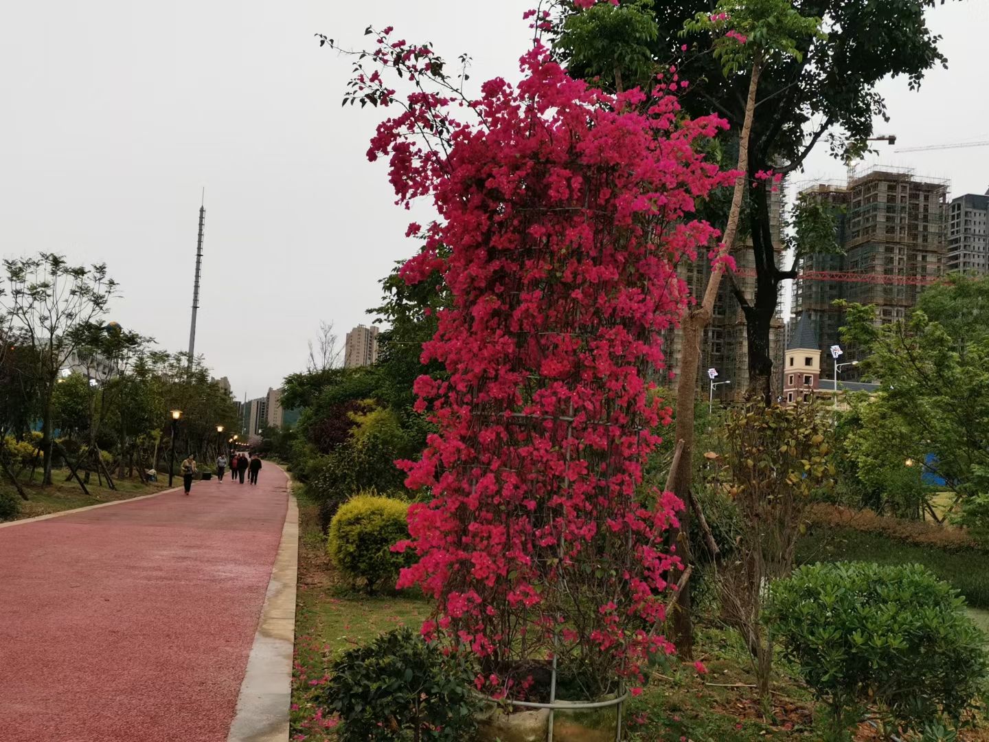 鹿寨绿廊公园旅行图片 3